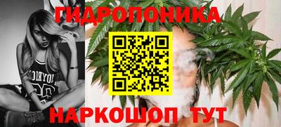 кокс Дубна
