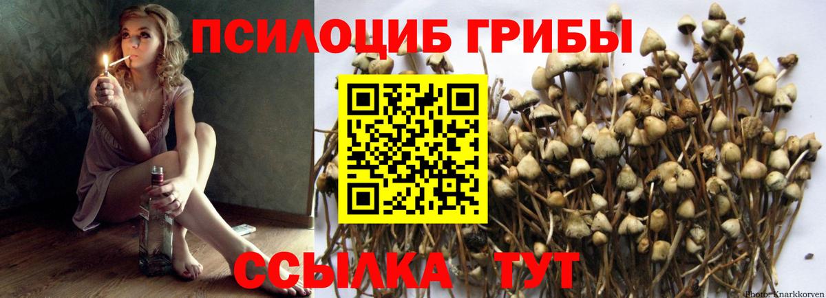 Галлюциногенные грибы GOLDEN TEACHER  Вход с VPN  Лесосибирск 